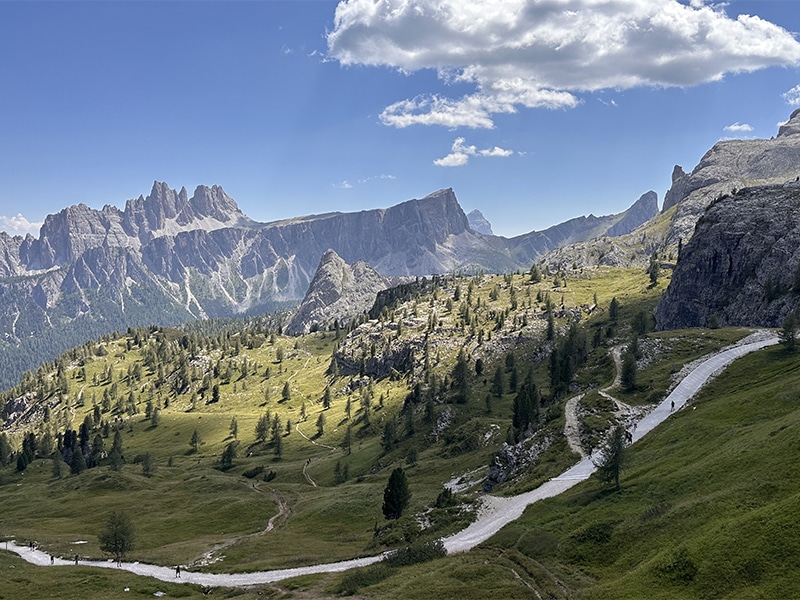 Shinka Yang | Art Residency